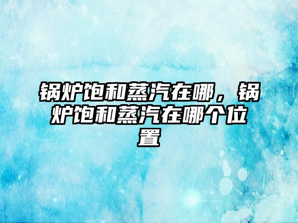 鍋爐飽和蒸汽在哪，鍋爐飽和蒸汽在哪個(gè)位置