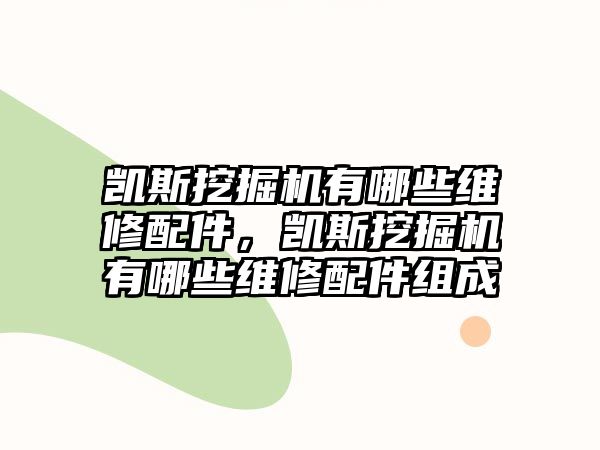 凱斯挖掘機(jī)有哪些維修配件，凱斯挖掘機(jī)有哪些維修配件組成