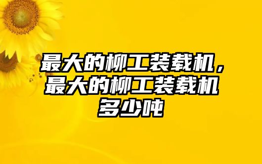 最大的柳工裝載機(jī)，最大的柳工裝載機(jī)多少?lài)?/>	
								</i>
								<p class=