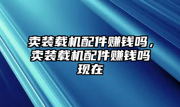 賣裝載機(jī)配件賺錢嗎，賣裝載機(jī)配件賺錢嗎現(xiàn)在