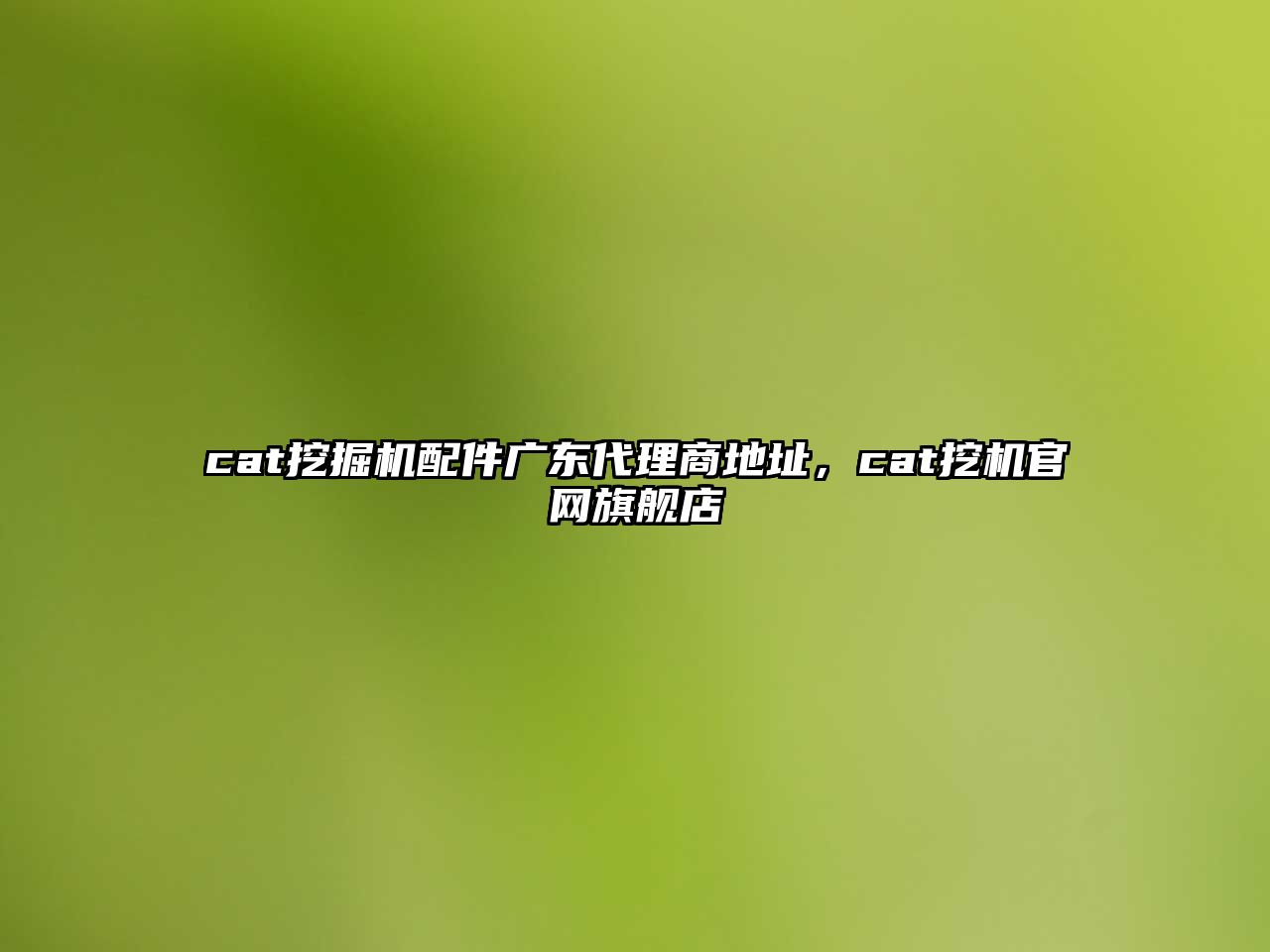 cat挖掘機(jī)配件廣東代理商地址，cat挖機(jī)官網(wǎng)旗艦店