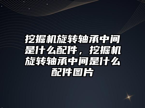 挖掘機旋轉(zhuǎn)軸承中間是什么配件，挖掘機旋轉(zhuǎn)軸承中間是什么配件圖片