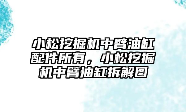 小松挖掘機中臂油缸配件所有，小松挖掘機中臂油缸拆解圖