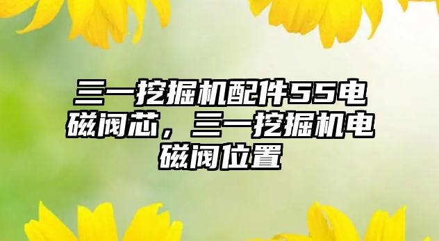 三一挖掘機配件55電磁閥芯，三一挖掘機電磁閥位置