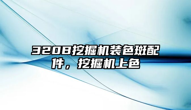 320B挖掘機裝色斑配件，挖掘機上色