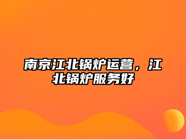 南京江北鍋爐運(yùn)營(yíng)，江北鍋爐服務(wù)好