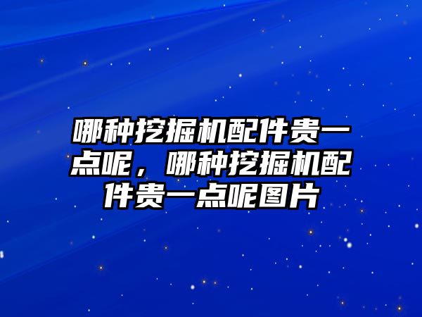 哪種挖掘機配件貴一點呢，哪種挖掘機配件貴一點呢圖片