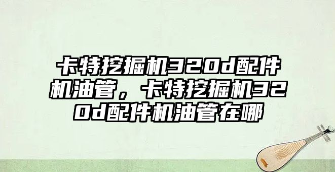 卡特挖掘機(jī)320d配件機(jī)油管，卡特挖掘機(jī)320d配件機(jī)油管在哪