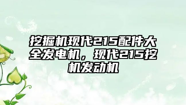 挖掘機(jī)現(xiàn)代215配件大全發(fā)電機(jī)，現(xiàn)代215挖機(jī)發(fā)動(dòng)機(jī)