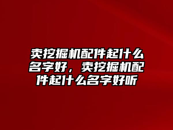 賣挖掘機配件起什么名字好，賣挖掘機配件起什么名字好聽