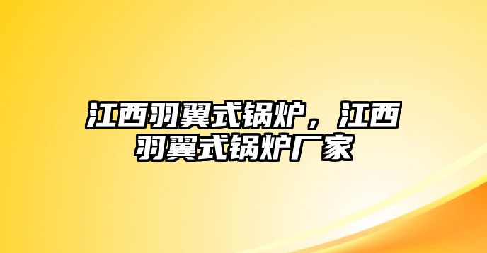 江西羽翼式鍋爐，江西羽翼式鍋爐廠家