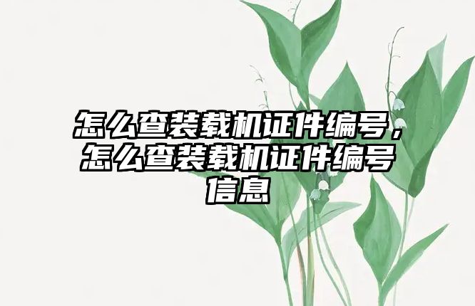 怎么查裝載機證件編號，怎么查裝載機證件編號信息