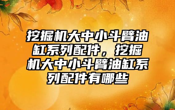 挖掘機大中小斗臂油缸系列配件，挖掘機大中小斗臂油缸系列配件有哪些