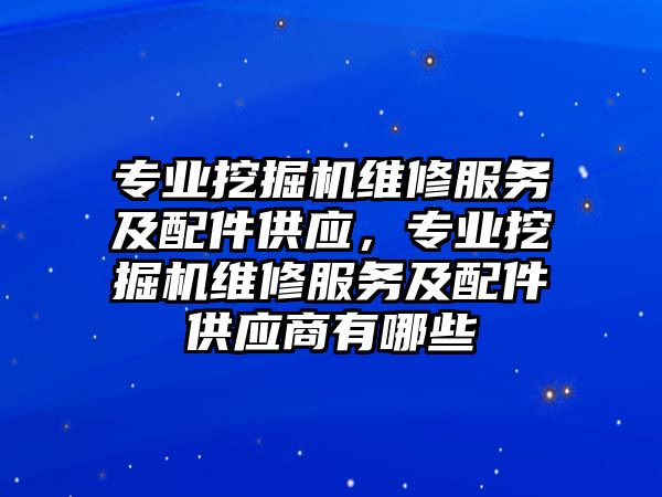 專業(yè)挖掘機維修服務及配件供應，專業(yè)挖掘機維修服務及配件供應商有哪些