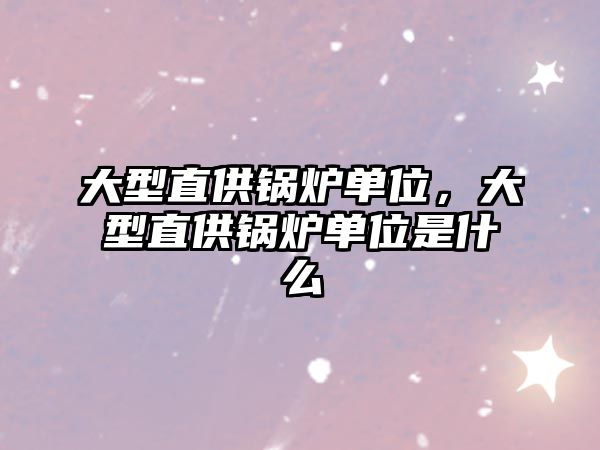 大型直供鍋爐單位，大型直供鍋爐單位是什么