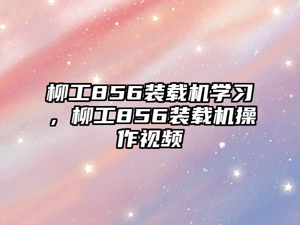 柳工856裝載機學(xué)習(xí)，柳工856裝載機操作視頻