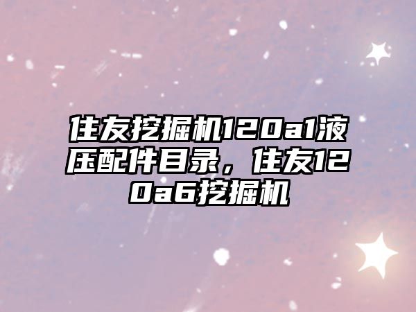 住友挖掘機(jī)120a1液壓配件目錄，住友120a6挖掘機(jī)