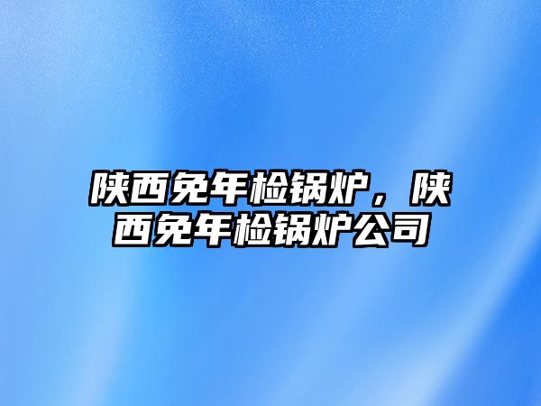 陜西免年檢鍋爐，陜西免年檢鍋爐公司