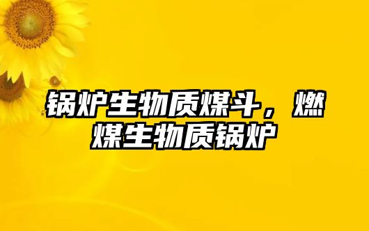 鍋爐生物質煤斗，燃煤生物質鍋爐