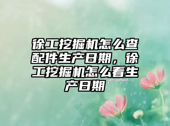 徐工挖掘機怎么查配件生產(chǎn)日期，徐工挖掘機怎么看生產(chǎn)日期