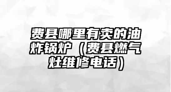 費(fèi)縣哪里有賣的油炸鍋爐（費(fèi)縣燃?xì)庠罹S修電話）