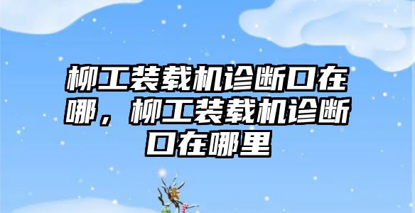 柳工裝載機診斷口在哪，柳工裝載機診斷口在哪里