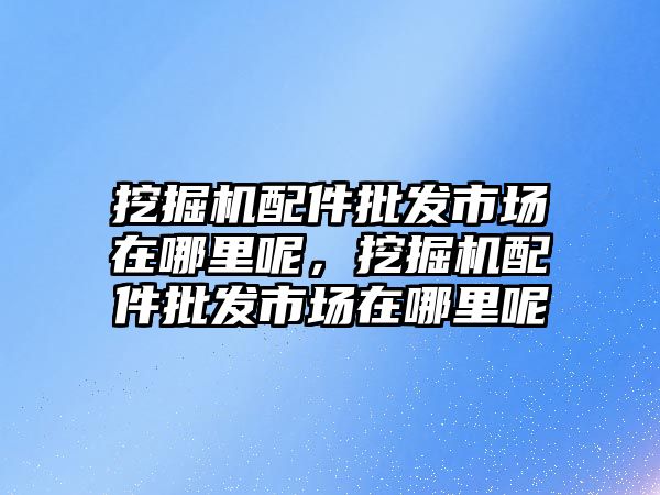 挖掘機配件批發(fā)市場在哪里呢，挖掘機配件批發(fā)市場在哪里呢