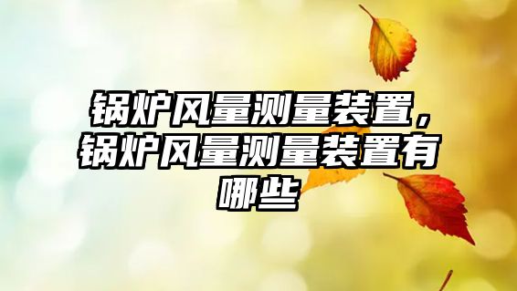 鍋爐風(fēng)量測量裝置，鍋爐風(fēng)量測量裝置有哪些