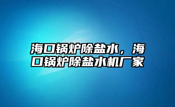 ?？阱仩t除鹽水，?？阱仩t除鹽水機(jī)廠家