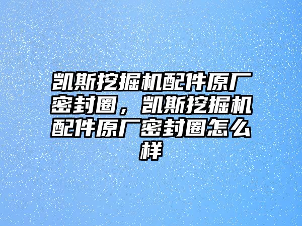 凱斯挖掘機(jī)配件原廠密封圈，凱斯挖掘機(jī)配件原廠密封圈怎么樣