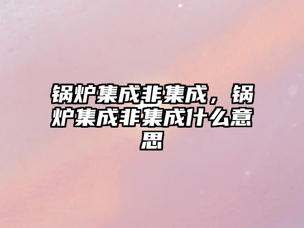 鍋爐集成非集成，鍋爐集成非集成什么意思