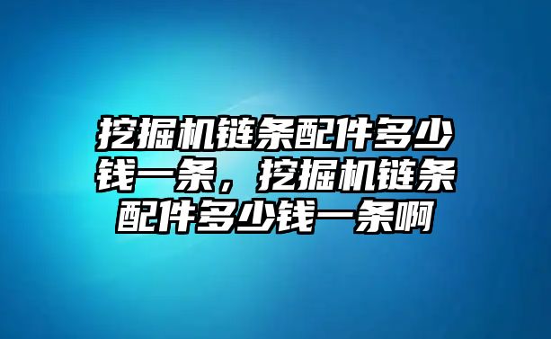 挖掘機鏈條配件多少錢一條，挖掘機鏈條配件多少錢一條啊