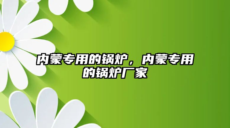 內(nèi)蒙專用的鍋爐，內(nèi)蒙專用的鍋爐廠家