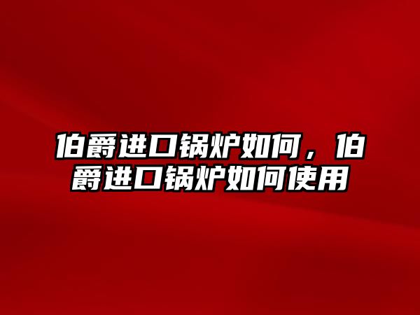 伯爵進(jìn)口鍋爐如何，伯爵進(jìn)口鍋爐如何使用