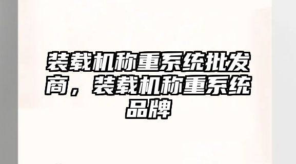 裝載機稱重系統(tǒng)批發(fā)商，裝載機稱重系統(tǒng)品牌