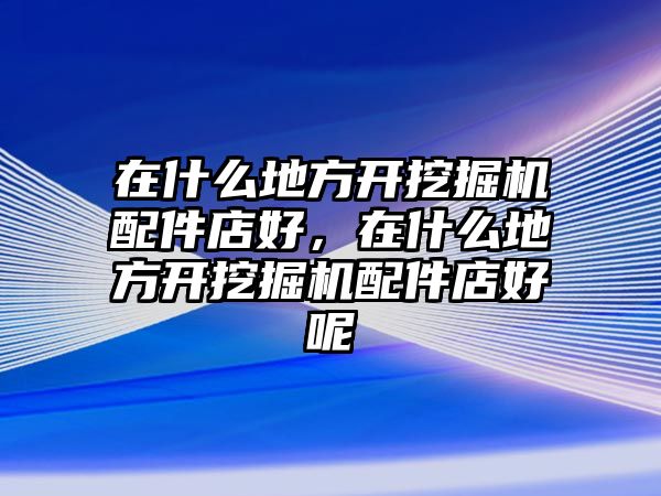 在什么地方開(kāi)挖掘機(jī)配件店好，在什么地方開(kāi)挖掘機(jī)配件店好呢