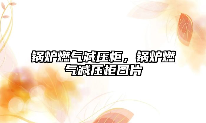 鍋爐燃?xì)鉁p壓柜，鍋爐燃?xì)鉁p壓柜圖片