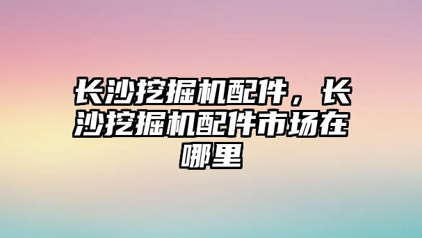 長沙挖掘機(jī)配件，長沙挖掘機(jī)配件市場在哪里