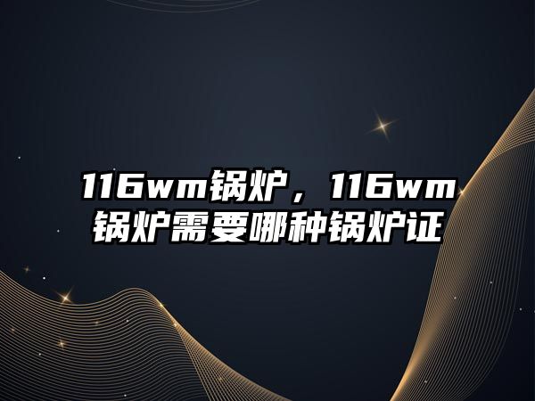 116wm鍋爐，116wm鍋爐需要哪種鍋爐證