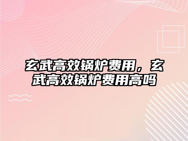 玄武高效鍋爐費用，玄武高效鍋爐費用高嗎