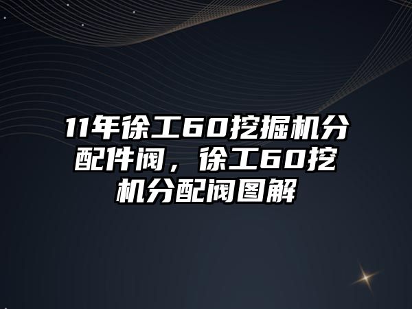 11年徐工60挖掘機(jī)分配件閥，徐工60挖機(jī)分配閥圖解