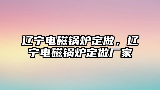 遼寧電磁鍋爐定做，遼寧電磁鍋爐定做廠家