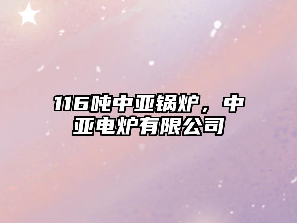 116噸中亞鍋爐，中亞電爐有限公司