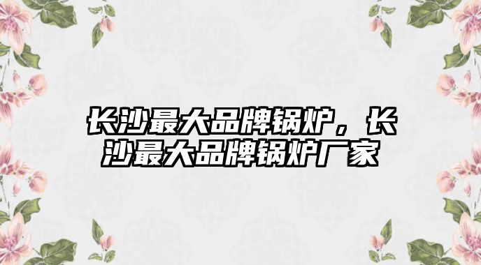 長沙最大品牌鍋爐，長沙最大品牌鍋爐廠家