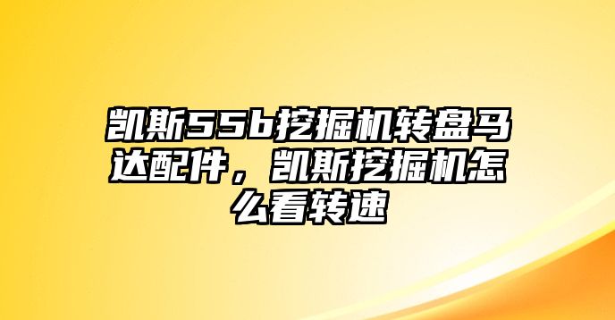 凱斯55b挖掘機(jī)轉(zhuǎn)盤馬達(dá)配件，凱斯挖掘機(jī)怎么看轉(zhuǎn)速