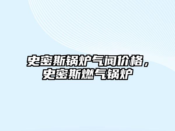 史密斯鍋爐氣閥價(jià)格，史密斯燃?xì)忮仩t