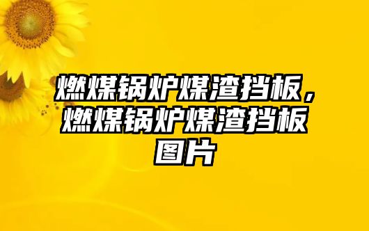 燃煤鍋爐煤渣擋板，燃煤鍋爐煤渣擋板圖片