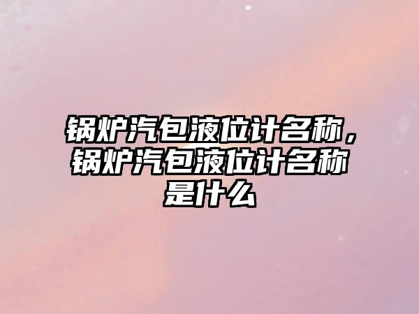 鍋爐汽包液位計名稱，鍋爐汽包液位計名稱是什么