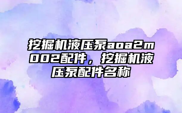 挖掘機液壓泵aoa2m002配件，挖掘機液壓泵配件名稱