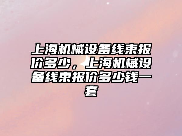 上海機械設備線束報價多少，上海機械設備線束報價多少錢一套